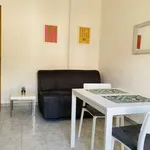 Rent 1 bedroom apartment of 55 m² in turin