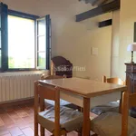 Rent 4 bedroom apartment of 58 m² in Siena