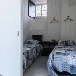 Rent 1 bedroom apartment in coimbra