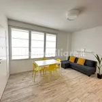 Rent 3 bedroom apartment of 60 m² in Milan