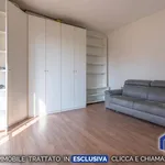 Rent 1 bedroom apartment of 48 m² in Milano