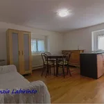 Rent 2 bedroom apartment of 40 m² in Forlì