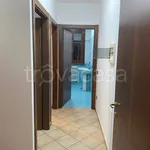 Rent 3 bedroom apartment of 80 m² in Sissa Trecasali