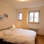 Miete 1 Schlafzimmer wohnung von 624 m² in Zurich