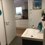 Quiet and fantastic suite, Rodgau - Amsterdam Apartments for Rent