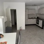 Rent 1 bedroom apartment of 50 m² in Brühl