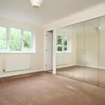 Rent 4 bedroom house in falkirk