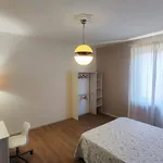 Rent 3 bedroom apartment of 90 m² in Pisa