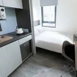 Rent 1 bedroom apartment in london