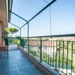 Rent 1 bedroom apartment of 42 m² in rome