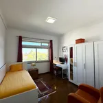 Rent 3 bedroom apartment in Lisbon