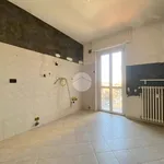 Rent 2 bedroom apartment of 53 m² in Moncalieri