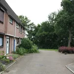 Rent 4 bedroom house of 90 m² in Groot Rennemig