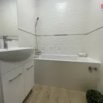 Rent 1 bedroom apartment in Ostrava