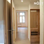 Rent 1 bedroom house in Prague