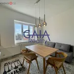 Rent 2 bedroom apartment of 38 m² in Trhový Štěpánov