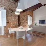 Rent 1 bedroom apartment of 50 m² in Firenze