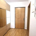 Rent 2 bedroom apartment of 58 m² in Capital City of Prague