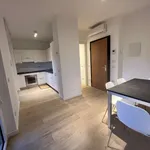 Rent 1 bedroom apartment of 45 m² in milan