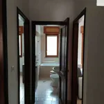 Rent 3 bedroom apartment of 55 m² in Potenza