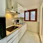 Rent 2 bedroom apartment of 60 m² in Campobasso