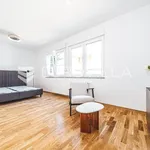 Rent 3 bedroom apartment of 166 m² in Zagreb