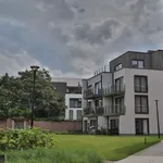 Rent 2 bedroom apartment in Dendermonde