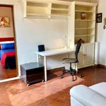 Rent 1 bedroom apartment of 35 m² in florence