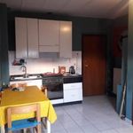 Rent 1 bedroom apartment of 36 m² in Turin