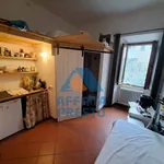 Rent 1 bedroom apartment of 15 m² in Pontedera