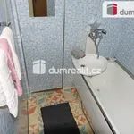 Rent 1 bedroom apartment in Benešov