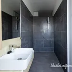 Rent 1 bedroom apartment of 31 m² in Prague