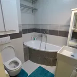 Pronajměte si 1 ložnic/e byt o rozloze 55 m² v Prague