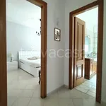 Rent 2 bedroom apartment of 50 m² in Anzio