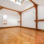 Rent 4 bedroom apartment of 164 m² in Prague