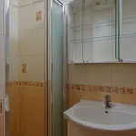 Rent 1 bedroom apartment of 41 m² in plzen