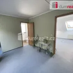 Rent 4 bedroom apartment of 100 m² in Prague