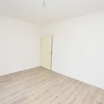 Rent 2 bedroom apartment of 61 m² in Chemnitz