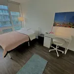 Rent 1 bedroom apartment in Old Toronto