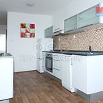 Rent 3 bedroom apartment of 71 m² in Praha