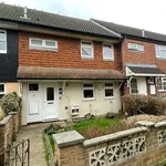 Rent 4 bedroom flat in Colchester