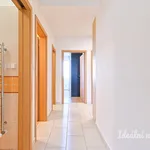 Pronajměte si 3 ložnic/e byt o rozloze 65 m² v Brno