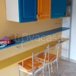 Rent 3 bedroom apartment of 65 m² in Frosinone