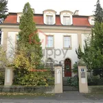 Rent 6 bedroom apartment of 203 m² in Prague