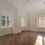 Rent 1 bedroom apartment of 30 m² in Studeněves