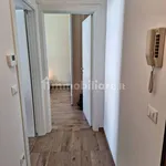 Rent 3 bedroom apartment of 74 m² in Bologna