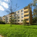 Rent 1 bedroom apartment of 39 m² in Zlín