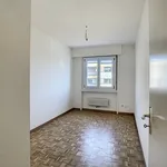 Magnifique logement particulièrement lumineux !