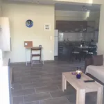 Rent 1 bedroom apartment of 50 m² in Municipal Unit of Rio