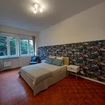 Rent 2 bedroom apartment of 65 m² in Torino